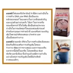 (ขายดี!!) ส่งฟรี!! แอคทิฟ มอลต์ รีดิวซ์ ชูการ์ สูตรลดน้ำตาล30% Activ Malt Reduced Sugar เครื่องดื่มรสช็อกโกแลตมอลต์ ใยอาหารสูง มอลต์สกัด น้ำมันปลา