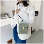 Luxury Designer Women's Mesger Bag Crocodile Pattern Loc Portable Chain Bag New Product One-Oulder Mobile Phone Bag
