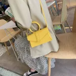 Designer Leather Women Bag Ladies Oulder Mesger Bags Handbag Letter Flap Fes Crossbody Bag