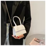 Stone Pattern Mini Tote Bag Mer New Hi-Quity Pu Leather Women's Designer Bag Luxury Brand Oulder Mesger Bag