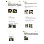 ผงมัทฉะ100% (ตราออลส์) 100กรัม