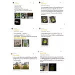 ผงมัทฉะ3อิน1 (ตราออลส์) 1,000g. และ 400g.