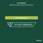 No.1 Plantae Lean Fast Protein รส เมล่อน 1 กระปุก :  Plant Protein L-carnitine โปรตีนพืช วีแกน ทางลัดหุ่นลีน แคลต่ำ เผาผลาญไว Melon เซ็ท 1 กระปุก