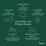 No.1 Plantae Lean Fast Protein รส เมล่อน 2 กระปุก :  Plant Protein L-carnitine โปรตีนพืช วีแกน ทางลัดหุ่นลีน แคลต่ำ เผาผลาญไว Melon เซ็ท 2 กระปุก