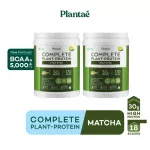 No.1 PLANTAE Complete Plant Protein Matcha 2 bottles: Green tea, protein, high protein muscle, Vigan Whey Whey Matcha, 2 bottles