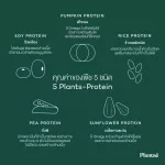 No.1 Plantae Complete Plant Protein รส มัทฉะ 2 กระปุก : ชาเขียว โปรตีนพืช เสริมสร้างกล้ามเนื้อ โปรตีนสูง วีแกน เวย์ Whey matcha เซ้ท 2 กระปุก