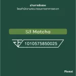 No.1 Plantae Complete Plant Protein รส มัทฉะ 2 กระปุก : ชาเขียว โปรตีนพืช เสริมสร้างกล้ามเนื้อ โปรตีนสูง วีแกน เวย์ Whey matcha เซ้ท 2 กระปุก