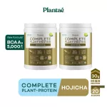 No.1 PLANTAE Complete Plant Protein 2 Hojacha flavor: Green tea, high protein protein, build keto muscles, Whey Non Dairy Hojicha, 2 bottles
