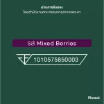 No.1 Plantae Complete Plant Protein รส มิกซ์เบอรี่ 2 กระปุก : Superfoods & Greens โปรตีนพืช ไฟเบอร์ ผักผลไม้ ลดน้ำหนัก  Mixed Berries เซ็ท 2 กระปุก