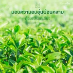 Giffarine Giffarine, air -conditioned spray, jasmine, green tea, Jasmine Green Green Tea Air Freshner 100 ml 84034.