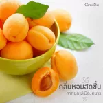 Giffarine Giffarine Air Force Spray Winter fruit scent, Sweetie Fruity Air 100 ml 84033