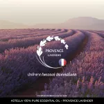 แอสเทลลา น้ำมันหอมระเหยแท้ 100% เกรดพรีเมี่ยมระดับ World Class สูตร Provence Lavender [ASTELLA Brand]