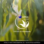 แอสเทลลา น้ำมันหอมระเหยแท้ 100% เกรดพรีเมี่ยมระดับ World Class สูตร Eucalyptus Australia [ASTELLA Brand]