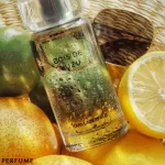 น้ำหอม Karl Lagerfeld Bois De Yuzu EDT 100ml