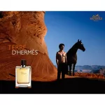 น้ำหอมแท้100% HERMES TERRE D’HERMES EDT 100ml