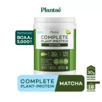 No.1 PLANTAE Complete Plant Protein 1 Matcha Flavor: Green Tea Protein Protein Strengthens high protein muscles.