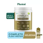 No.1 PLANTAE Complete Plant Protein, 1 Hojashi flavor: Green tea, high protein, protein, building keto muscles, Whey Non Dairy Hojicha, 1 bottle