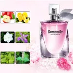Jeanmiss 3 -bottle of perfume (lift set) Romantic, portable 25ml, Fruity fragrance, long lasting, not too pungent, the smell of flowers