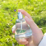 Jeanmiss, Jean Miss Sheep Baby EDT 50ml perfume