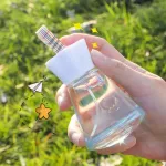 Jeanmiss, Jean Miss Sheep Baby EDT 50ml perfume