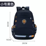 Primary and secondary school bags, Korean male and secondary school