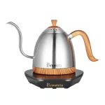 Brewista coffee kettle