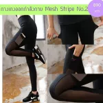 Reduce curve MESH Stripe No. 2 long -legged pants