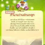 ว่านชักมดลูก สูตรเข้มข้น น้ำตาลน้อย ขนาด 300 กรัม รุ่งตะวัน