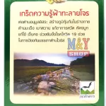 ฟ้าทะลายโจรผสมกระชายขาว ขนาด 300 กรัม รุ่งตะวัน