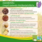 เครื่องดื่มน้ำข้าวกล้องเพาะงอกชนิดผง ผสมธัญญาหารอบกรอบ 1 ชุด 12 กล่อง