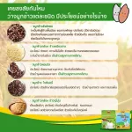 เครื่องดื่มน้ำข้าวกล้องเพาะงอกชนิดผง ผสมธัญญาหารอบกรอบ 1 ชุด 12 กล่อง