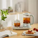 Cantor of boiled tea for polite Electric kettle, electric tea, electric tea, tea, tea pots for health, capacity 0.6L 1 year warranty. Bear Ysh-C06N1