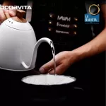 กาต้มน้ำกาแฟดริฟ Brewista Artisan Stovetop