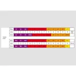 Hohner ฮาร์โมนิก้า รุ่น Amadeus ขนาด 12 ช่อง คีย์ C