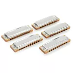 Hohner® Blues Harp Pro Pack 5  ฮาร์โมนิก้า 10 ช่อง แพ็ค 5 ตัว ชุดสุดคุ้ม คีย์ C / G /  A / D / E ซีรี่ย์ MS-Series + แถม