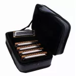 Hohner® Blues Harp Pro Pack 5  ฮาร์โมนิก้า 10 ช่อง แพ็ค 5 ตัว ชุดสุดคุ้ม คีย์ C / G /  A / D / E ซีรี่ย์ MS-Series + แถม