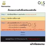 Parrot Harmonica, 1 piece of Homica Key c