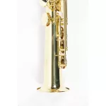 Coleman Standard Soprano Soprano Saxophone ประกันศูนย์ 1 ปี Music Arms
