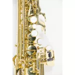 Coleman Standard Soprano Soprano Saxophone ประกันศูนย์ 1 ปี Music Arms