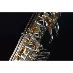 Coleman CL-332T Tenor Saxophone ประกันศูนย์ 1 ปี Music Arms