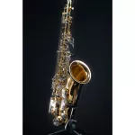 Coleman CL-332T Tenor Saxophone ประกันศูนย์ 1 ปี Music Arms