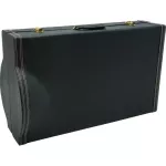 Paramount JY1803WCS EUPHONIUM Case Case Uphinium Box, Euphorium made of vinyl, durable, strong