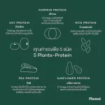 No.1 Plantae Complete Plant Protein รส มิกซ์เบอรี่ 1 กล่อง : Superfoods & Greens โปรตีนพืช ไฟเบอร์ ผักผลไม้ ลดน้ำหนัก  Mixed Berries เซ็ท 1 กล่อง