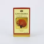 เห็ดหลินจือ อิลวา สกัด ชนิด แคปซูล  สุตร 1 ดอก และ สุตร 2 ราก โสมสกัดแคปซูล โสมแคปซูล ซอฟท์แคป