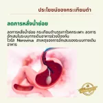 เครื่องดื่มน้ำสมุนไพรกระเทียมดำ น้ำกระเทียมดำ 100ml