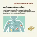 เครื่องดื่มน้ำสมุนไพรกระเทียมดำ น้ำกระเทียมดำ 100ml