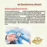 เครื่องดื่มน้ำสมุนไพรกระเทียมดำ น้ำกระเทียมดำ 100ml