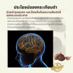 เครื่องดื่มน้ำสมุนไพรกระเทียมดำ น้ำกระเทียมดำ 100ml