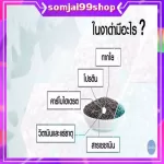 งาดำ ชนิดผง กิฟฟารีน สมาร์ทติ เซซามิ  เครื่องดื่มธัญญาหารสำเร็จรูปสูตรงาดำ ผสมข้าวกล้องหอมนิลงอก แก้กระดูกพรุน
