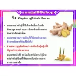 เครื่องดื่ม ขิง ผงสำเร็จรูป กิฟฟารีน ต้าน.ไวรัส ขับลม จุกเสียด ระบบไหลเวียนโลหิต